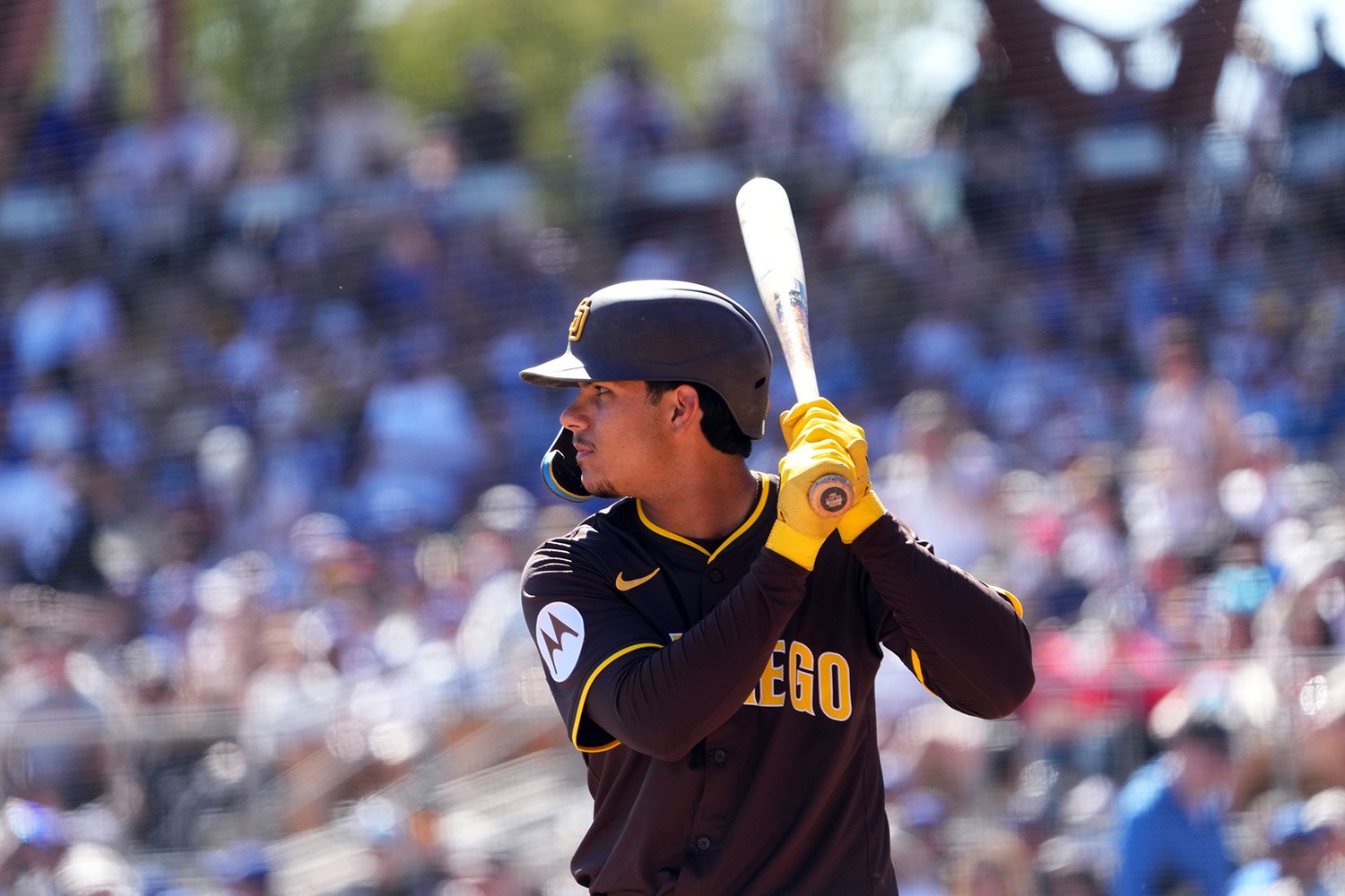 More information about "Daison Acosta Removed From 40-Man Roster, Ethan Salas Sent To Minor-League Camp"