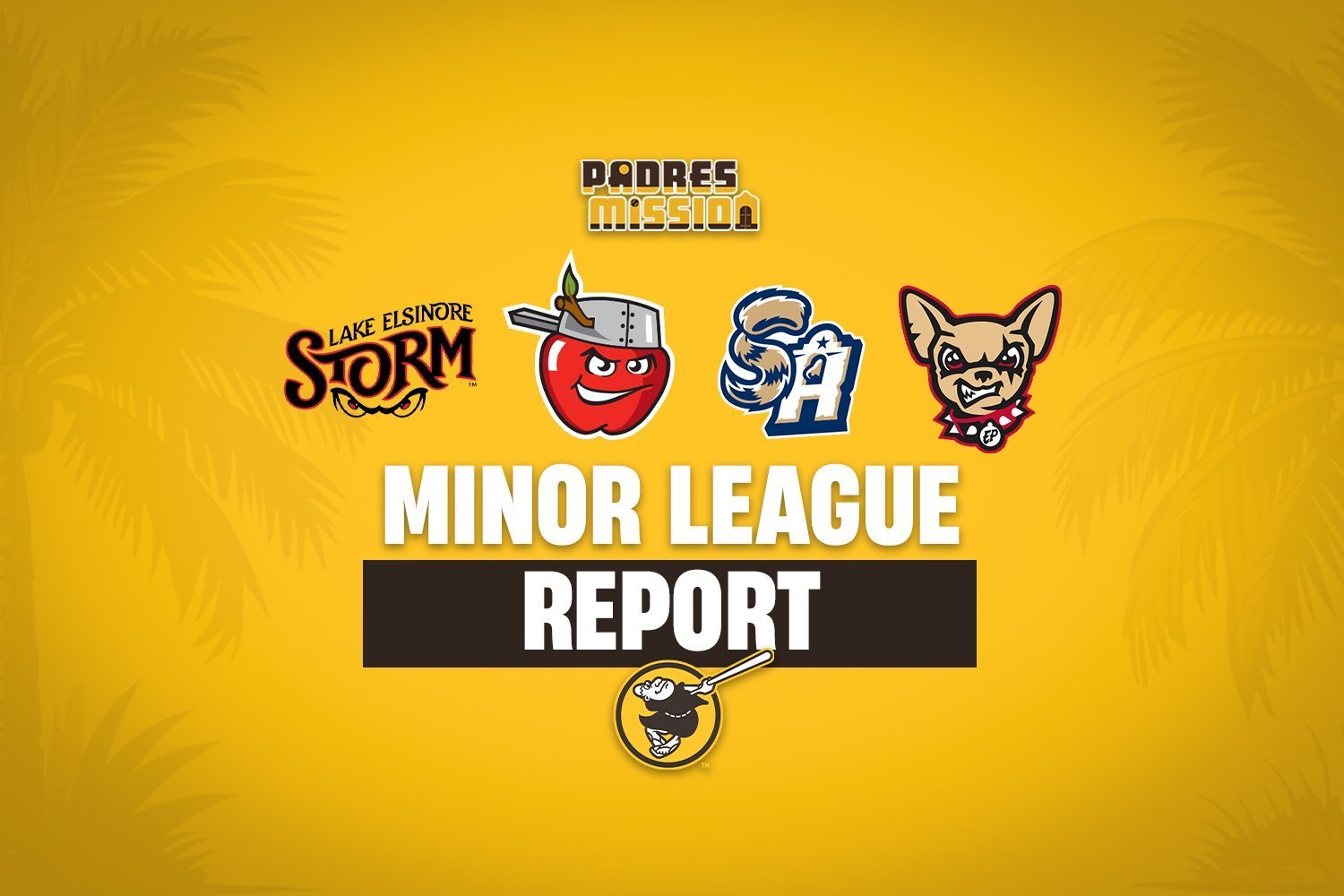 Padres Minor League Report: Storm Stumble In Extra Innings Again